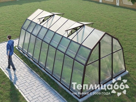 Теплица Рада Байкал из поликарбоната, 3x6 метров, коричневая