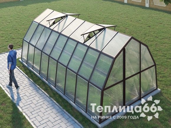 Теплица Рада Рица из поликарбоната, 3x6 метров, коричневая